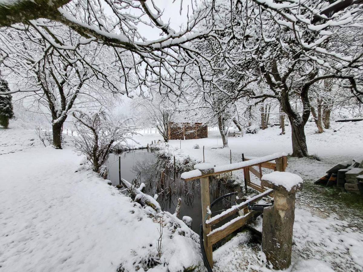 Apartamento Nickis Bergcamp Schneizlreuth Exterior foto