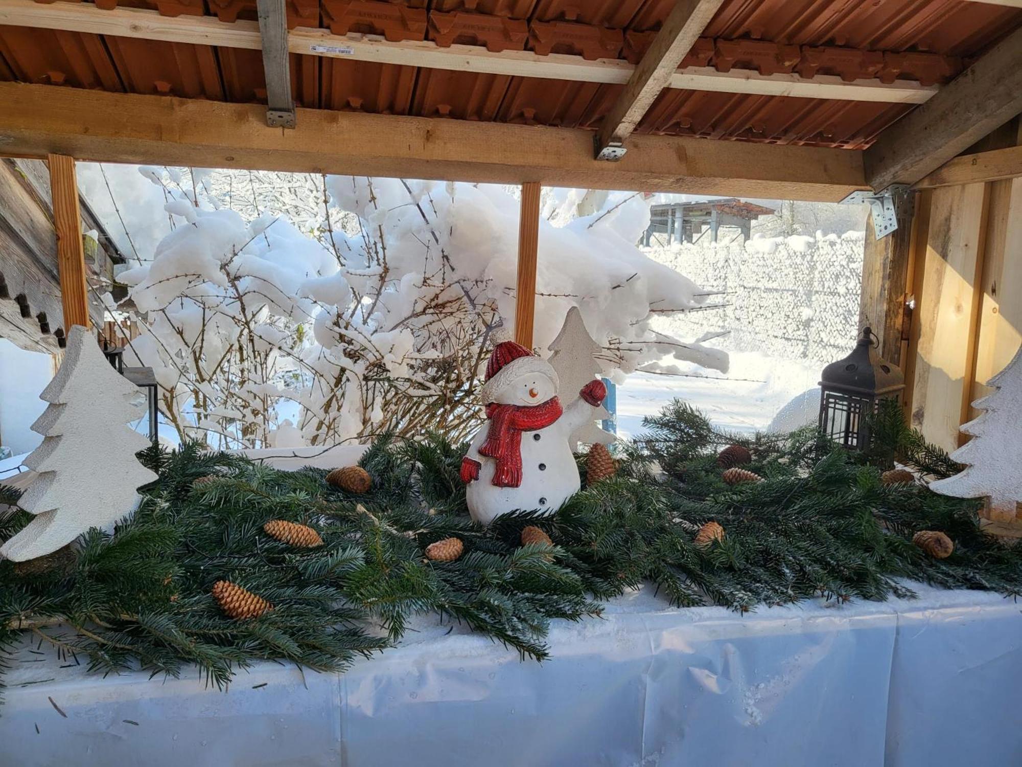 Apartamento Nickis Bergcamp Schneizlreuth Exterior foto