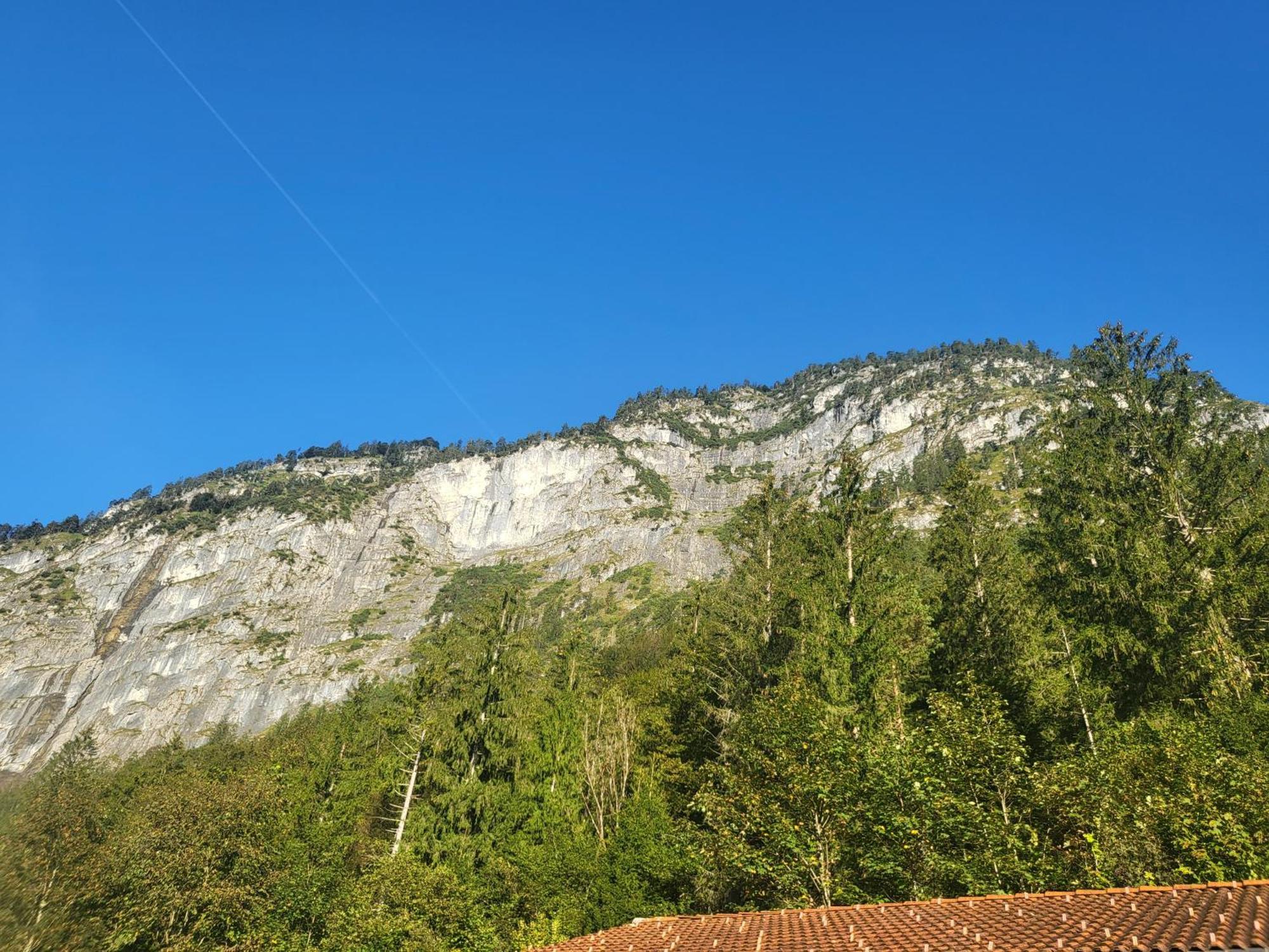 Apartamento Nickis Bergcamp Schneizlreuth Exterior foto